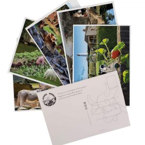 Set de 5 cartes postales "Paysages de ruralité"